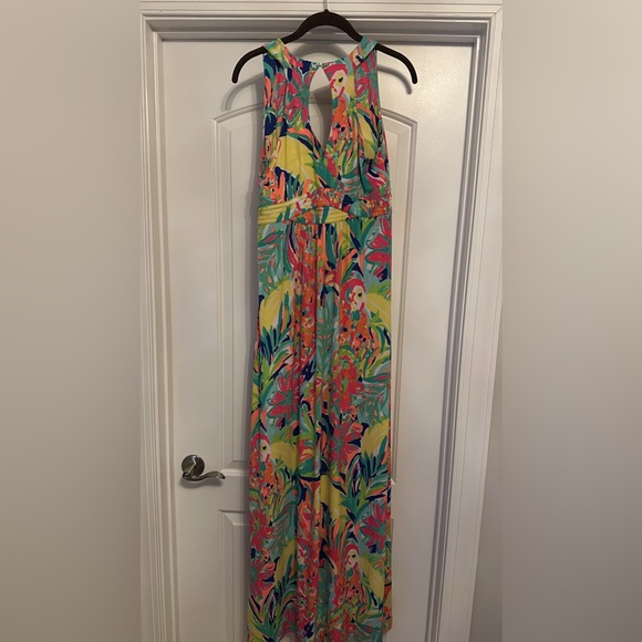 Lilly Pulitzer Maxi Size M - Picture 1 of 4